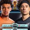 المكسيك وجنوب أفريقيا