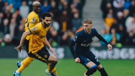 تشيلسي - ولفرهامبتون - بالمر