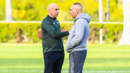 حسام حسن و إبراهيم حسن