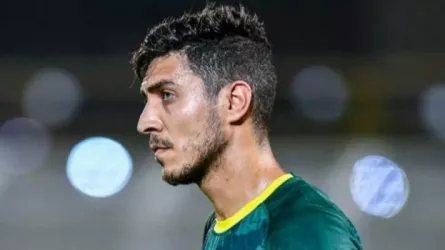 محمد شريف محمد شريف