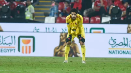 مصطفى شوبير