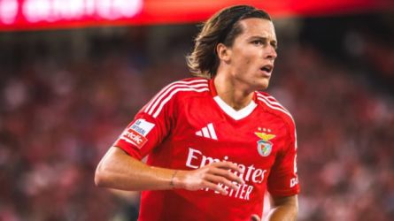 ألفارو فرنانديز