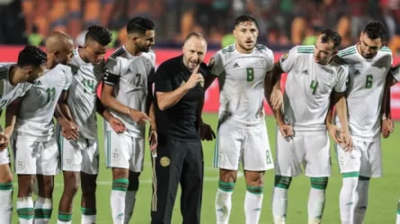 جمال بلماضي