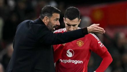 فان نيستلروي