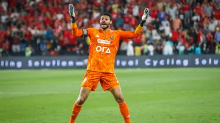 محمد الشناوي