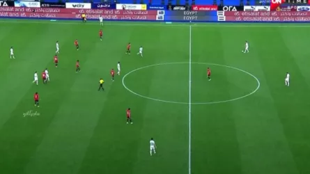 مصر ونيوزيلندا