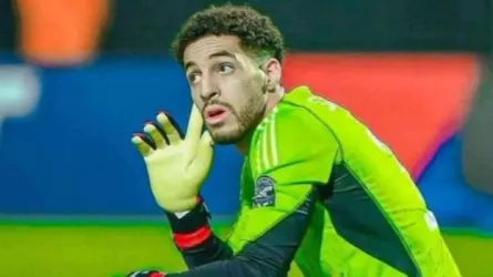 مصطفى شوبير