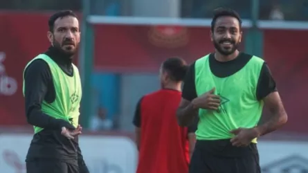 معلول وكهربا