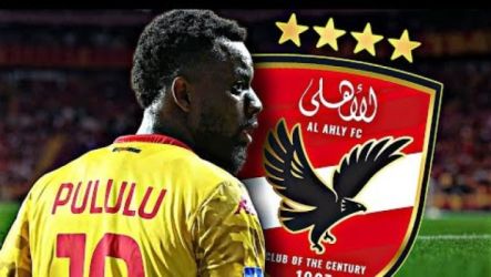 أفيميكو بولولو