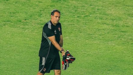 أمير عبد الحميد