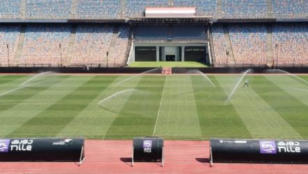 استاد القاهرة