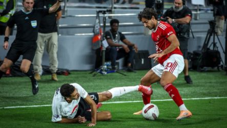 الأهلي والزمالك