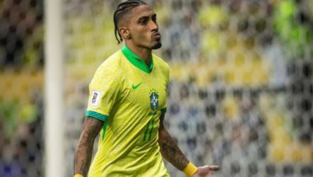 البرازيل رافينيا