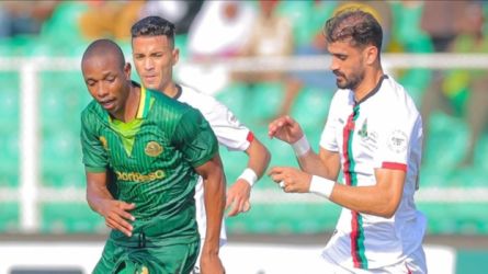 الجيش الملكي ويانج افريكانز