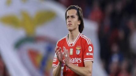 الفارو كاريراس