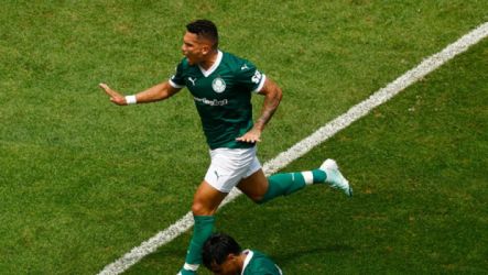 بالميراس البرازيلي