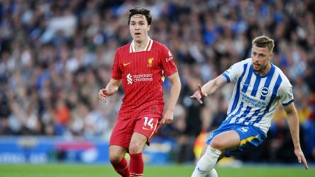 برايتون وليفربول