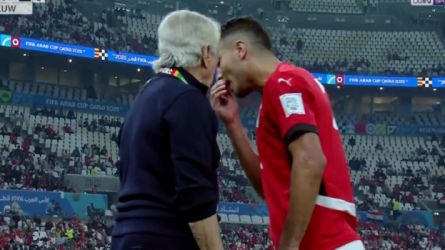 محمد شريف وحلمي طولان