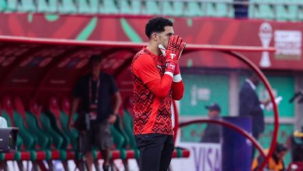 مصطفى شوبير