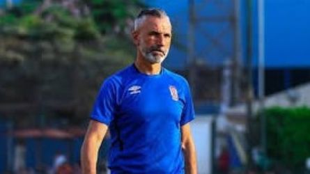 ميشيل يانكون