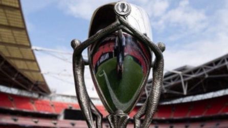 الفيناليسما