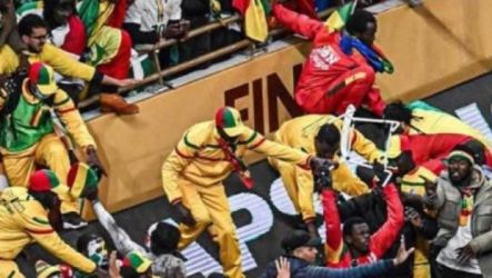 جماهير السنغال