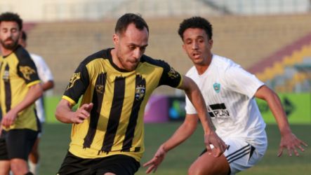 غزل المحلة والمقاولون