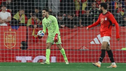 مصطفى شوبير