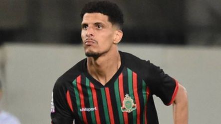 يوسف الفحلي