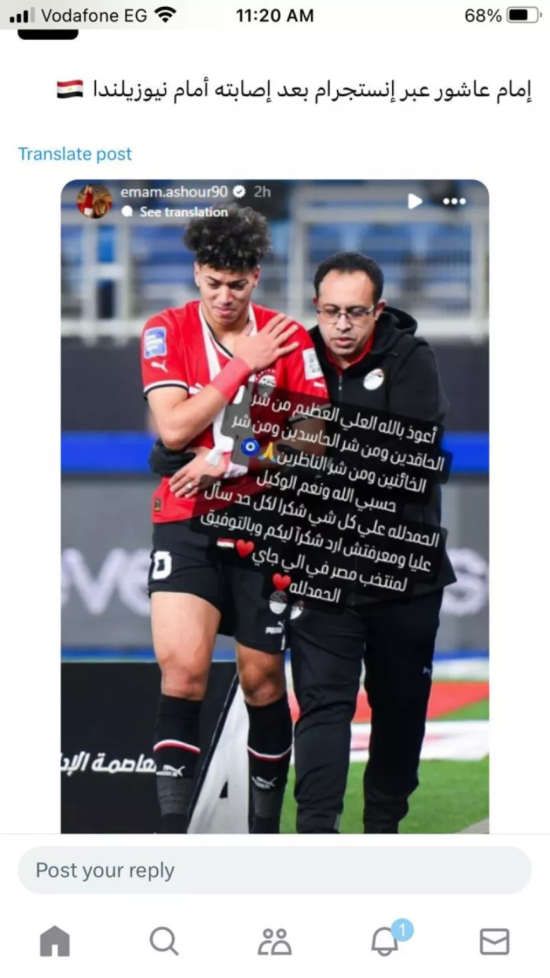 إمام عاشور إمام عاشور