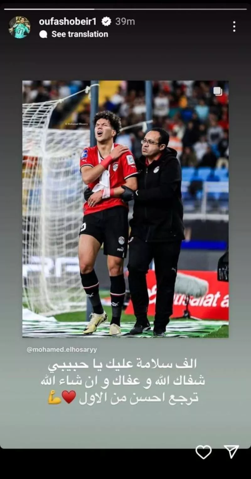 مصطفى شوبير مصطفى شوبير