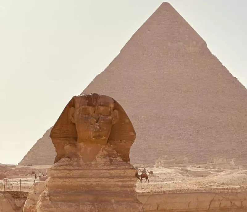 موديست موديست