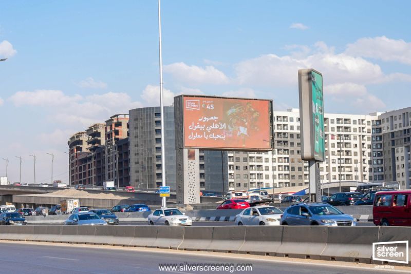 علي معلول ٢